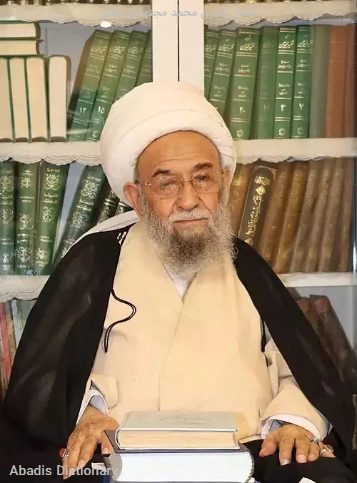 شمس الدین محمد مجتهدی نجفی